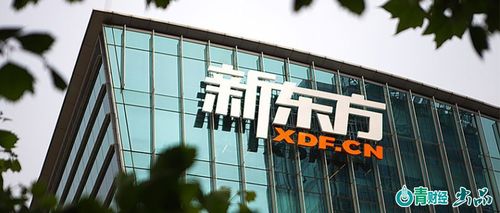 探索未来 新东方在双减后转型进军科技智能之旅